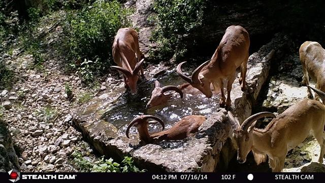 Bath Time