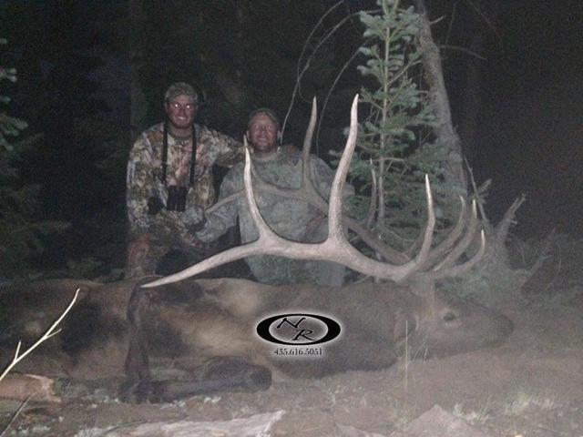 2014 rifle bull