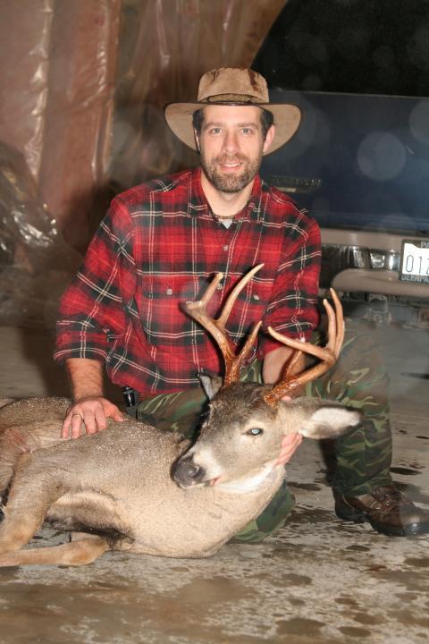 2011 White Tail Deer