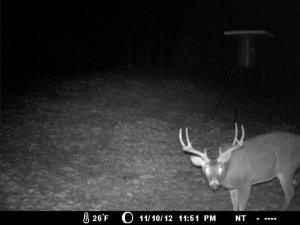 2012 Deer cam pics