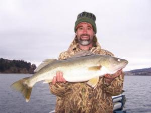 Lake Roosevelt Walleye