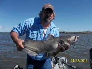 Channel cats on Columbia River