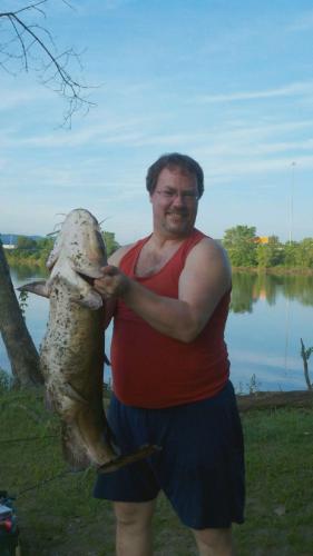 Giant Catfish