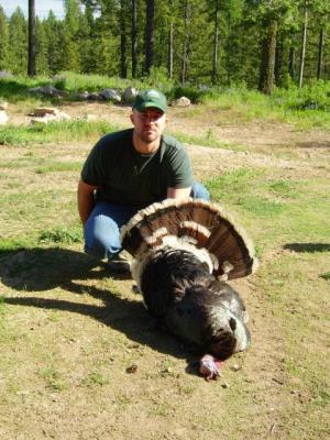 2009 WA Turkey